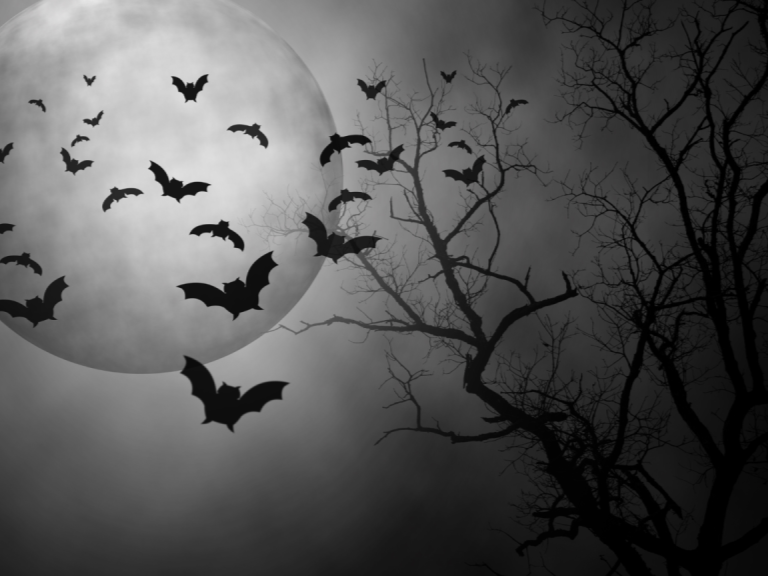 Bats fly in front of a full moon illustrating complex trauma